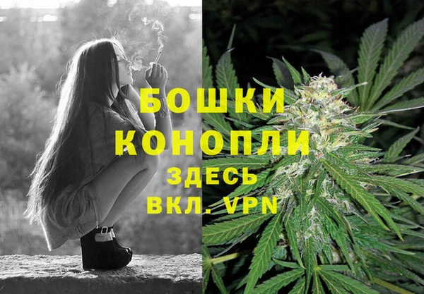 трава Беломорск