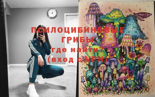 синтетический гашиш Белокуриха