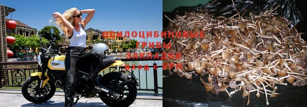 синтетический гашиш Белокуриха